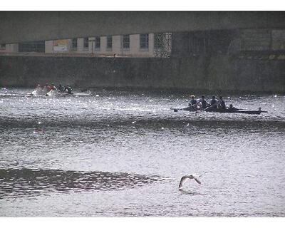 thumbnail North East Regatta