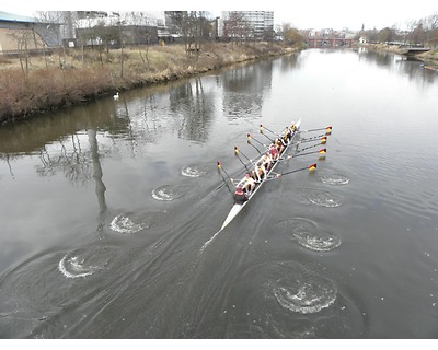 thumbnail Clydesdale Eights and Fours Head