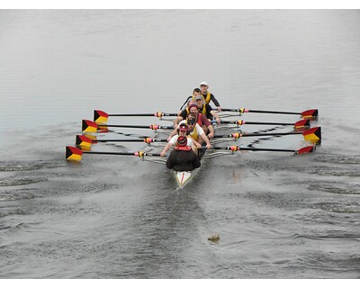 thumbnail Clydesdale Eights and Fours Head