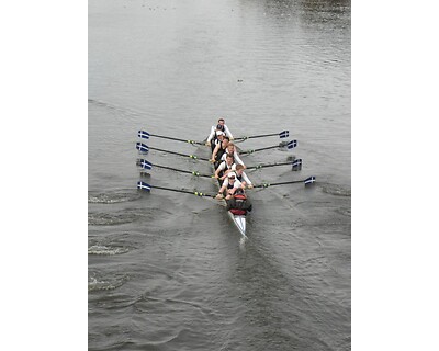 thumbnail Clydesdale Eights and Fours Head