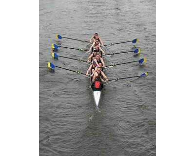 thumbnail Clydesdale Eights and Fours Head