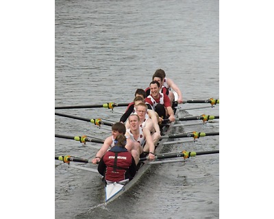 thumbnail Clydesdale Eights and Fours Head