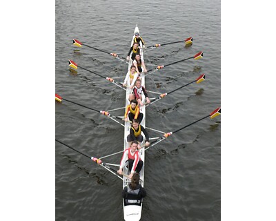 thumbnail Clydesdale Eights and Fours Head