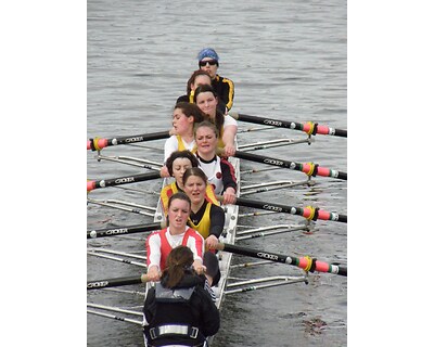 thumbnail Clydesdale Eights and Fours Head