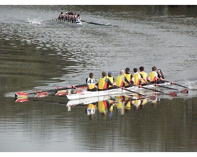 thumbnail Clydesdale Eights and Fours Head