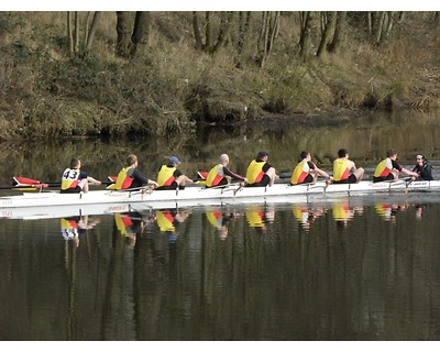 thumbnail Clydesdale Eights and Fours Head