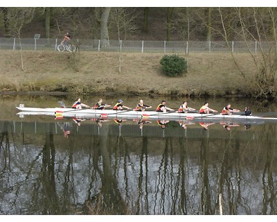 thumbnail Clydesdale Eights and Fours Head