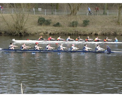 thumbnail Clydesdale Eights and Fours Head