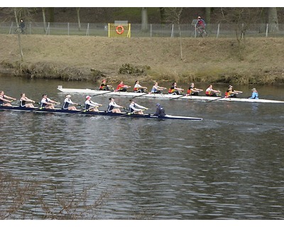 thumbnail Clydesdale Eights and Fours Head