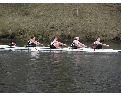 thumbnail Clydesdale Eights and Fours Head