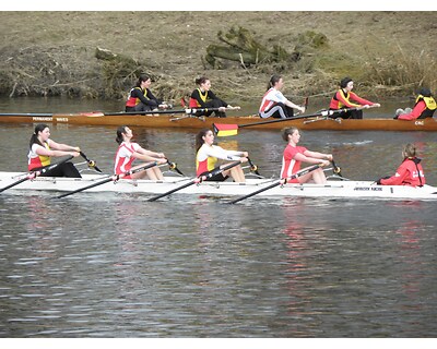 thumbnail Clydesdale Eights and Fours Head