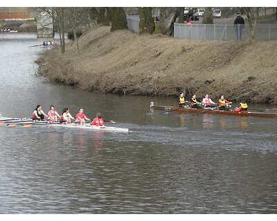 thumbnail Clydesdale Eights and Fours Head