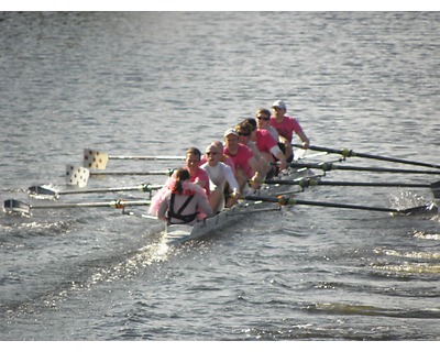 thumbnail Clydesdale Main Regatta etc