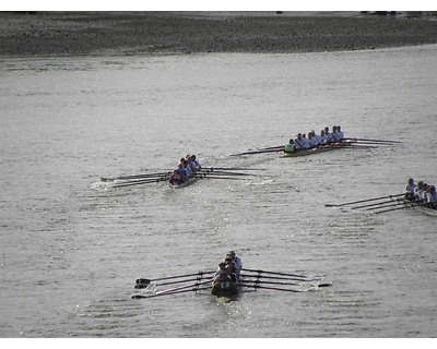 thumbnail Tideway and Vesta Vets Heads April