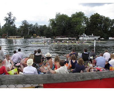 thumbnail Henley Royal Regatta