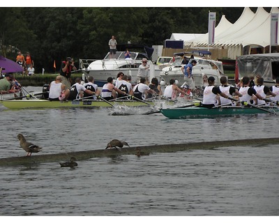 thumbnail Henley Royal Regatta