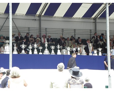 thumbnail Henley Royal Regatta