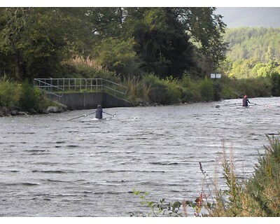 thumbnail Allan Garraway Single Sculling Trophy