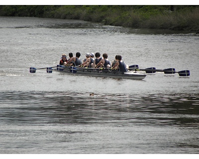 thumbnail Clydesdale Summer Regatta 12th May 2012