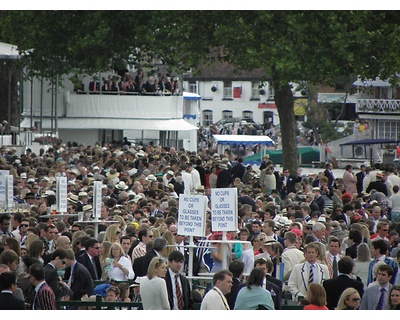 thumbnail Henley Royal Regatta 26th June to 1st July 2012