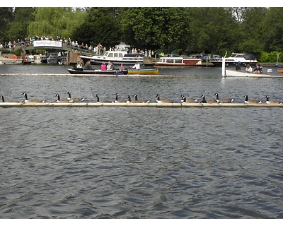 thumbnail Henley Royal Regatta 26th June to 1st July 2012