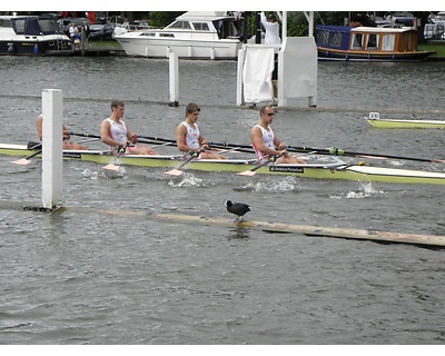 thumbnail Henley Royal Regatta 26th June to 1st July 2012