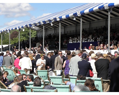 thumbnail Henley Royal Regatta 26th June to 1st July 2012