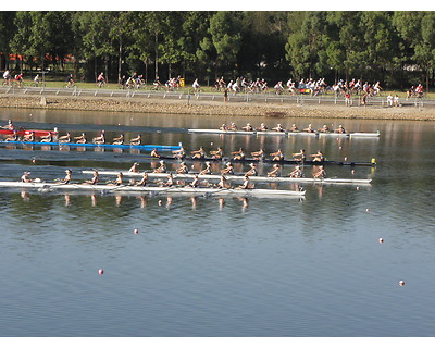 thumbnail Samsung World Rowing Cup and Australian Rowing Champingships March 2013