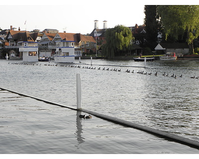 thumbnail Henley Royal Regatta July 2013