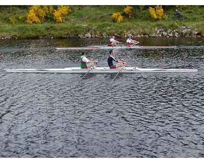 thumbnail "Scratch" Regatta and A Fine Pair