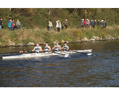 thumbnail Morrison Construction Inverness Fours and Quads Head (Tom Baker)