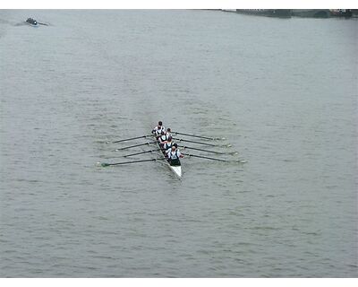 thumbnail Veteran's Head of the River Race - Tideway Thames