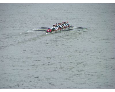 thumbnail Veteran's Head of the River Race - Tideway Thames