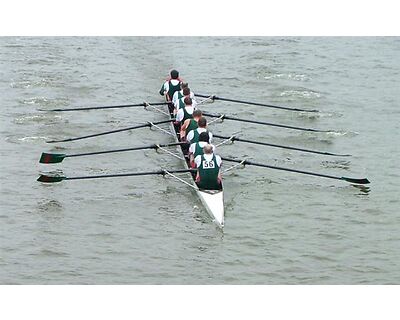 thumbnail Veteran's Head of the River Race - Tideway Thames