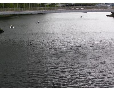 thumbnail North East (Aberdeen) Regatta